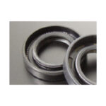 dustseal